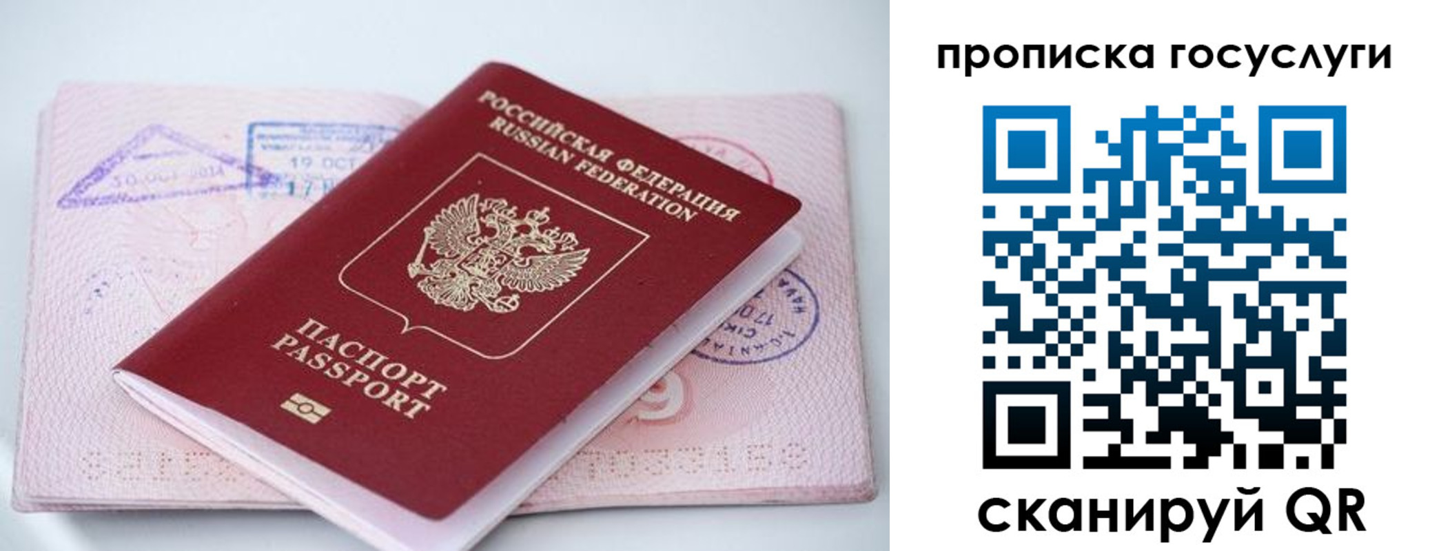 прописка законно в Дальнереченске